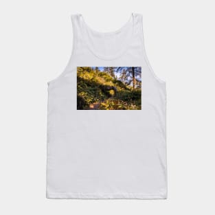 Hiking trail and a tree tunnel Tank Top